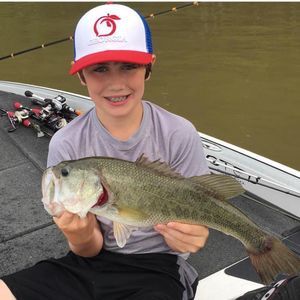 Meet your Posher, Beau